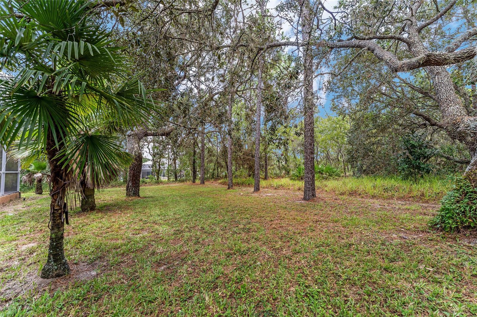 Image 77 of 97 For 147 Corkwood Boulevard