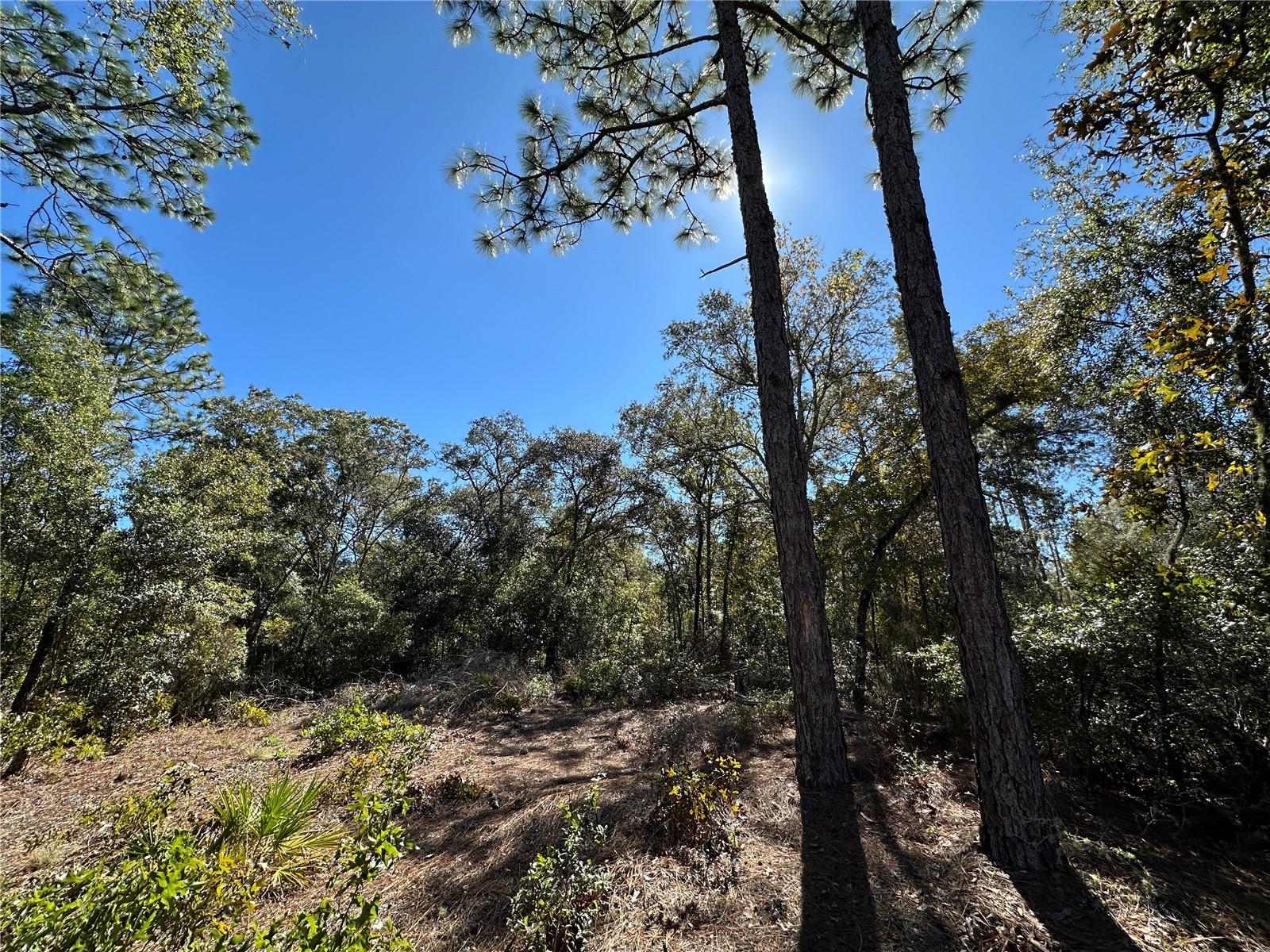 Image 10 of 11 For Tbd 86th Street