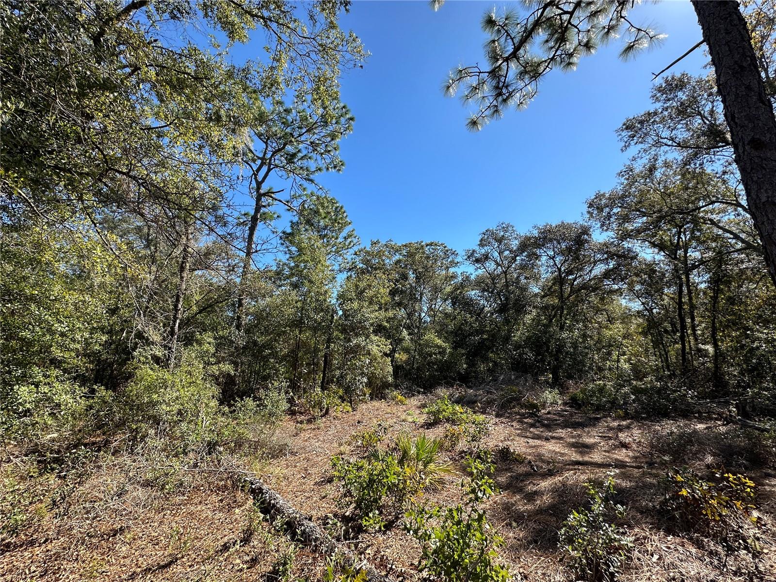 Image 11 of 11 For Tbd 86th Street