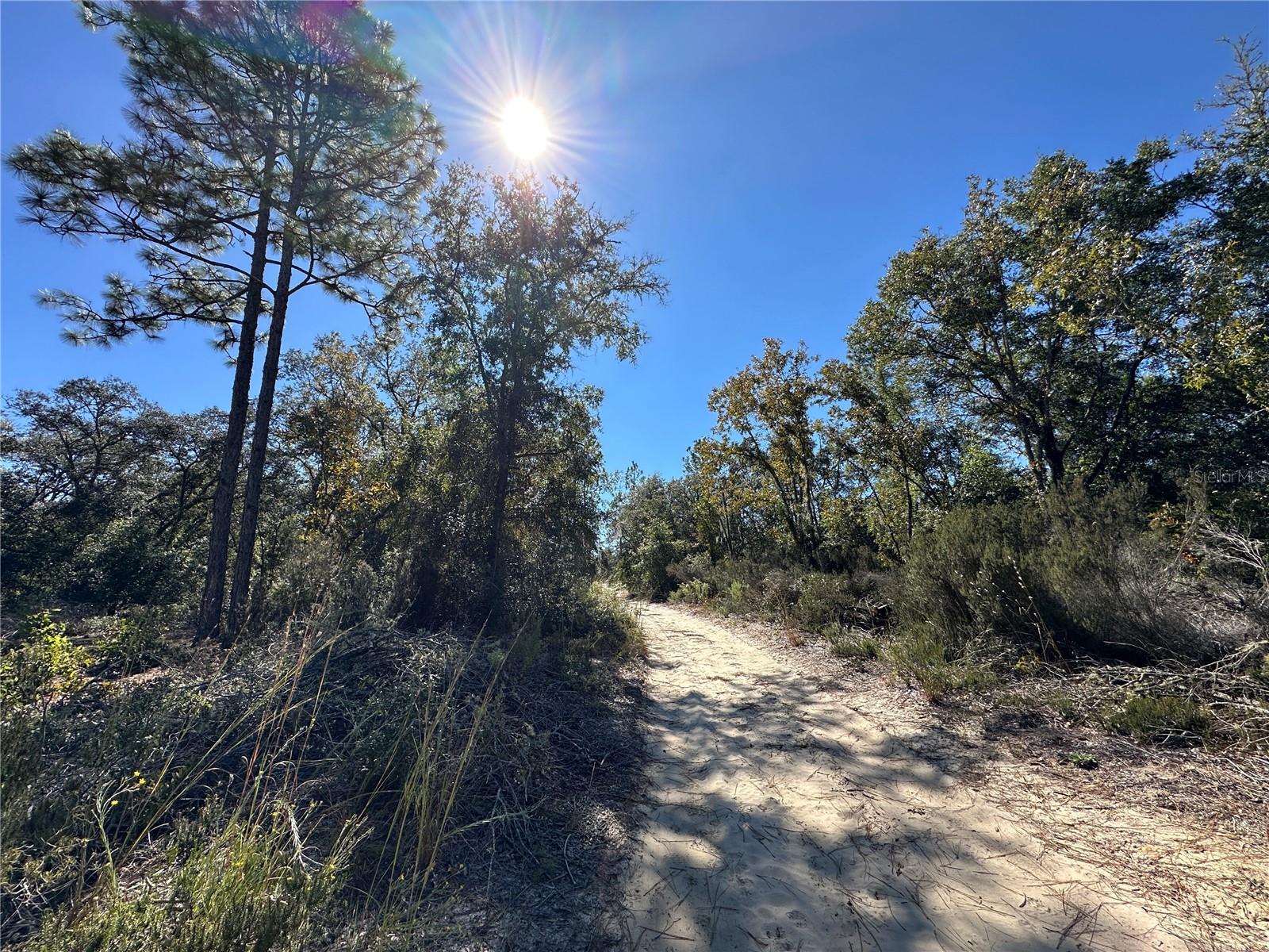 Image 3 of 11 For Tbd 86th Street