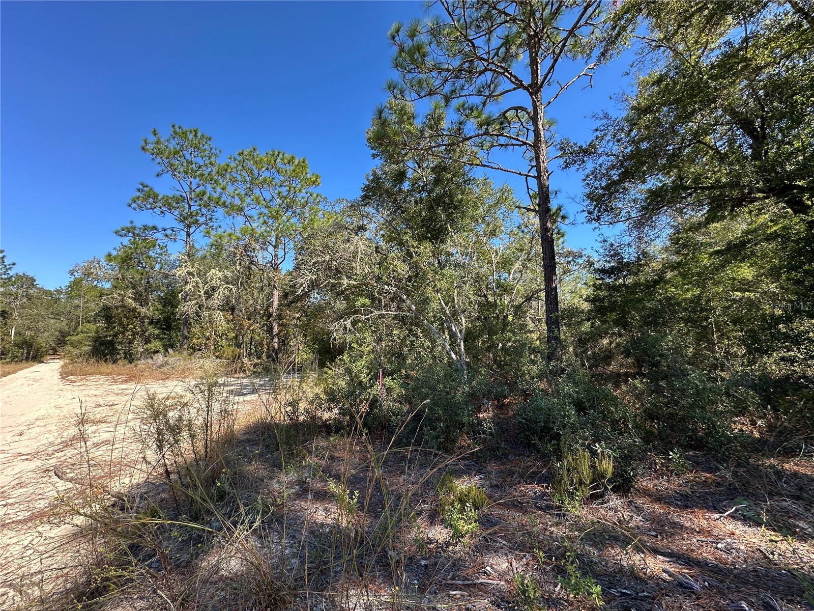 Image 4 of 11 For Tbd 86th Street