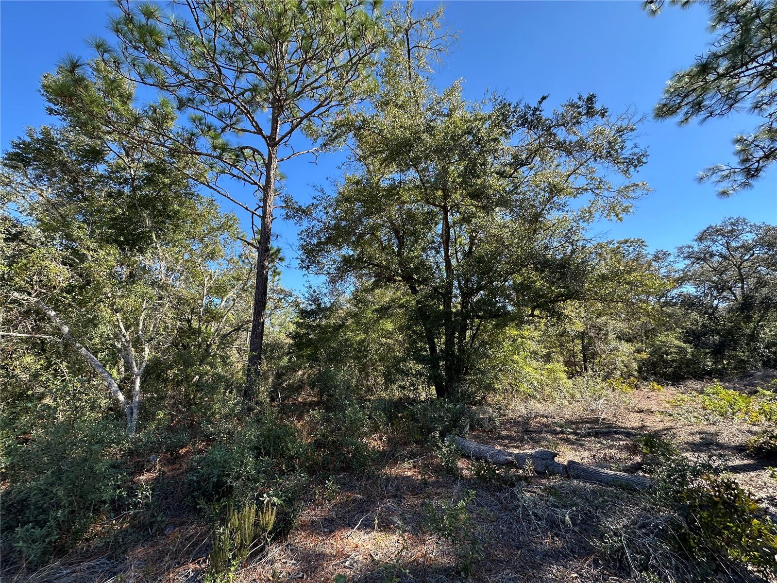 Image 5 of 11 For Tbd 86th Street