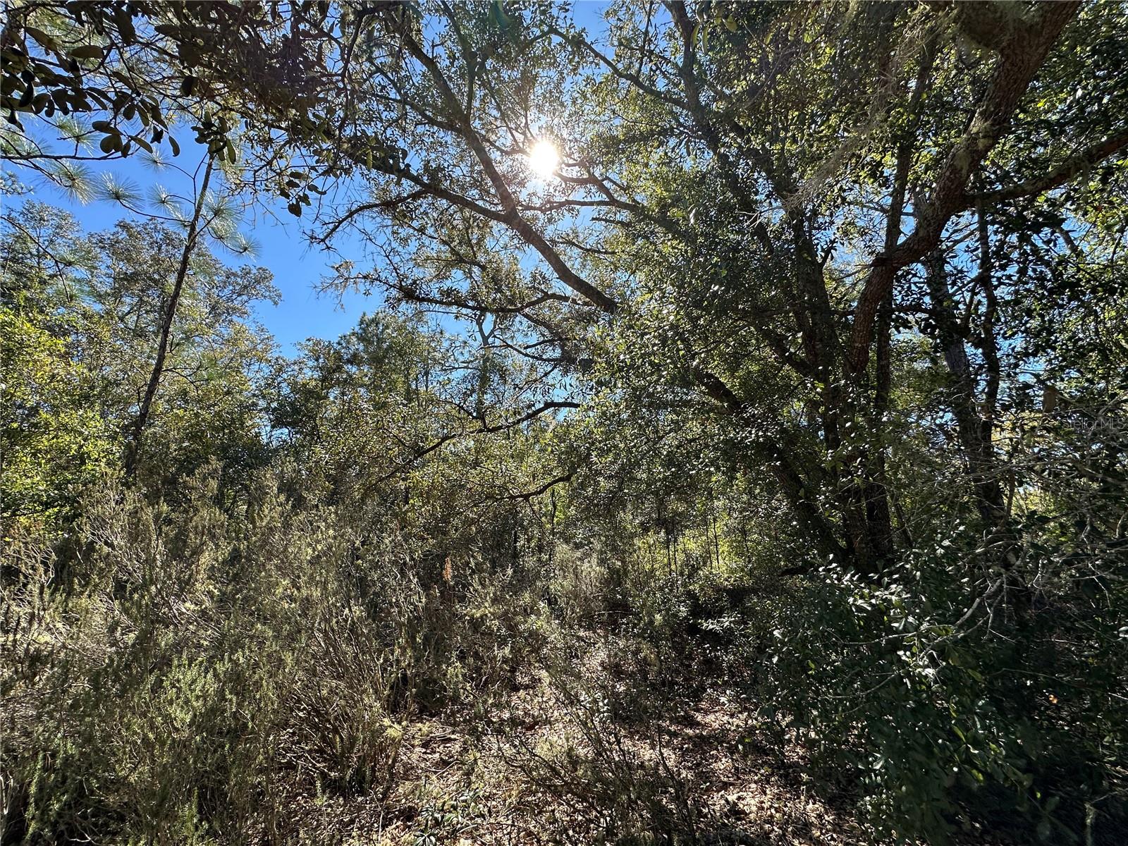 Image 7 of 11 For Tbd 86th Street