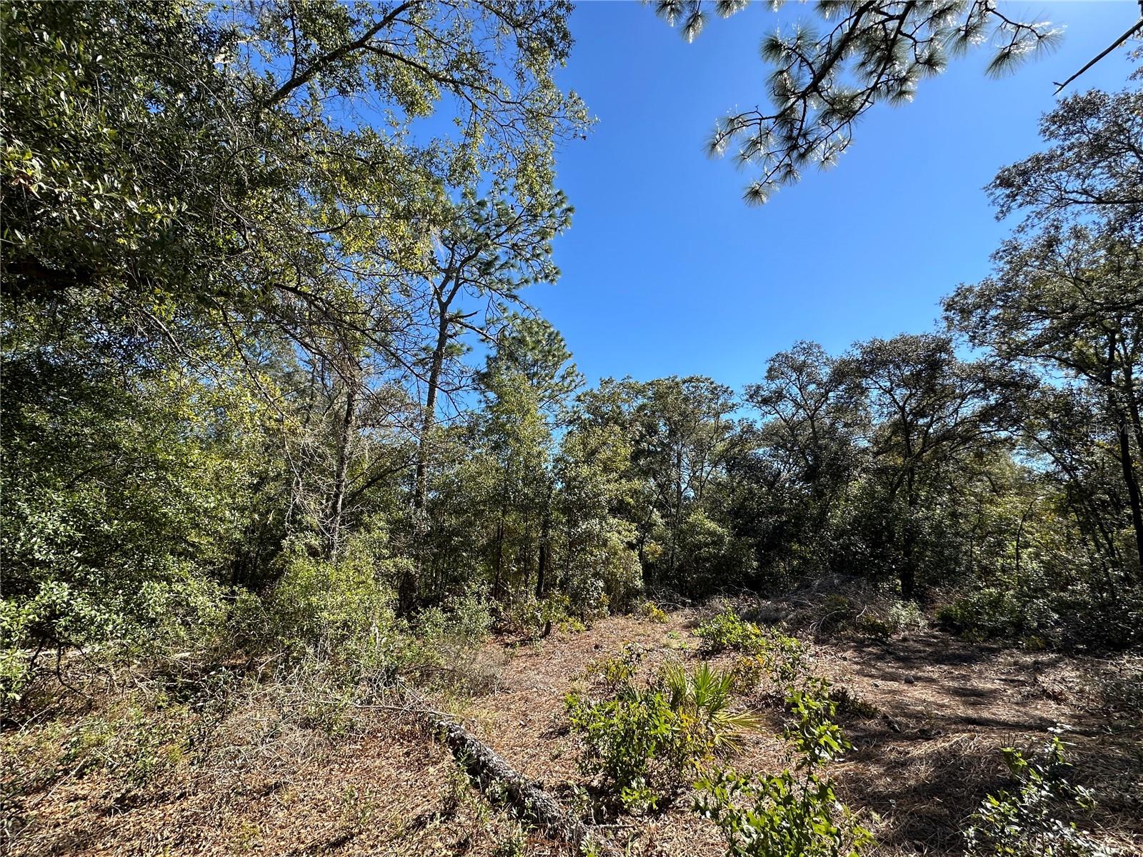 Image 9 of 11 For Tbd 86th Street