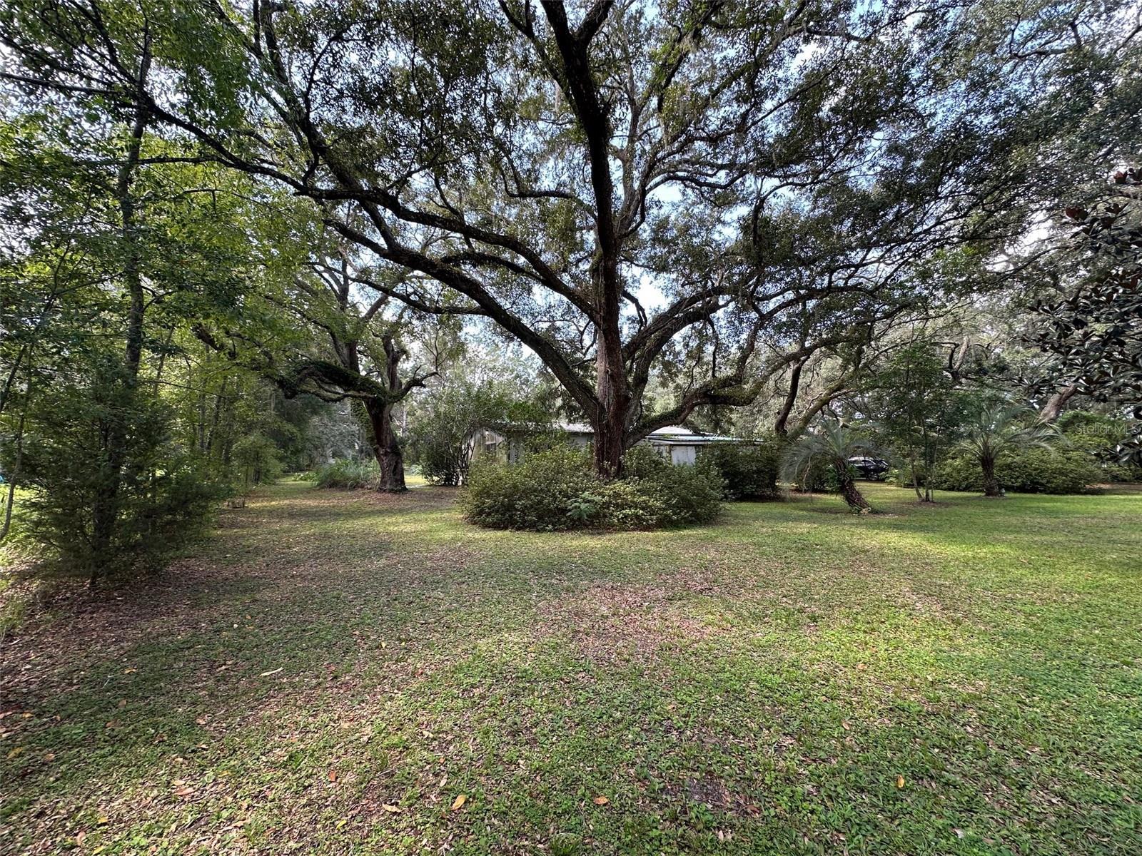 Image 30 of 30 For Address Not Provided