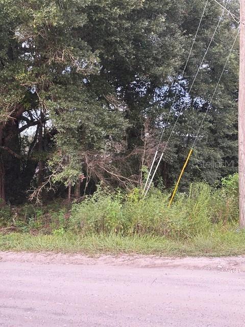Image 14 of 16 For Lot 27 111th Lane