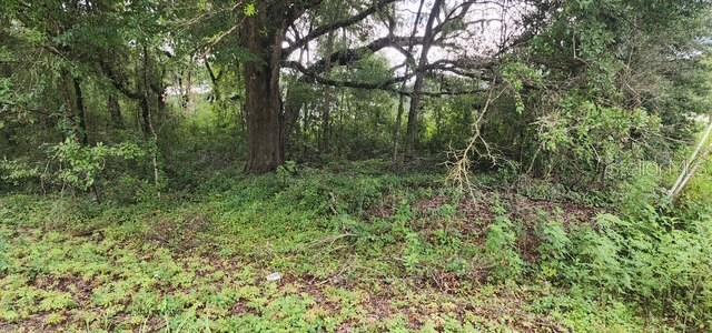 Image 2 of 3 For Lot 27 111th Lane
