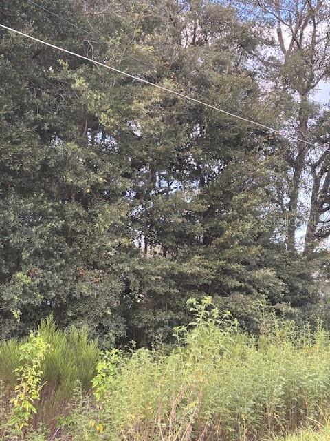 Image 8 of 16 For Lot 27 111th Lane