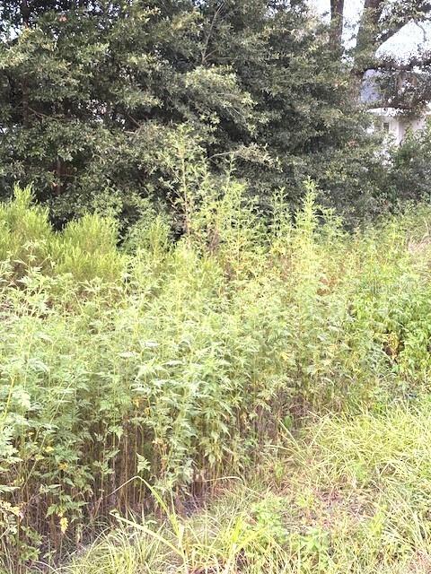 Image 9 of 16 For Lot 27 111th Lane