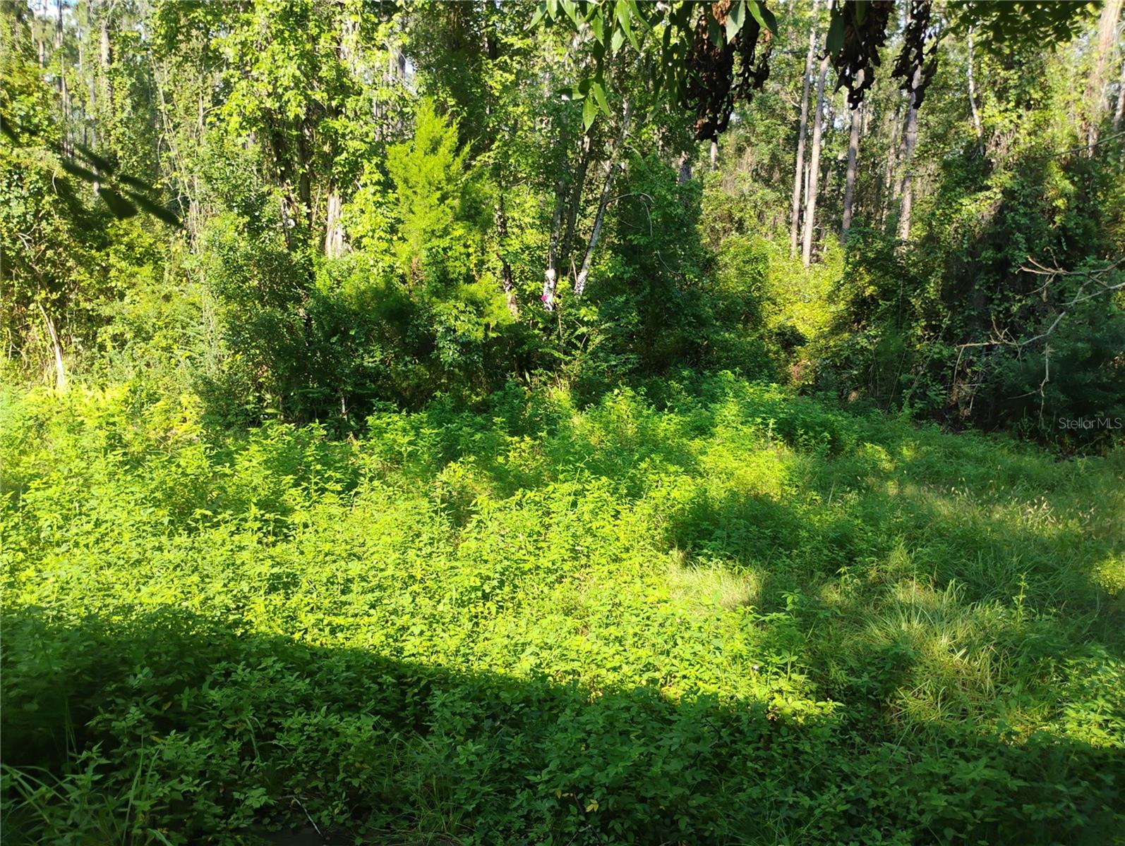 Image 9 of 9 For 2151 118th Avenue Road