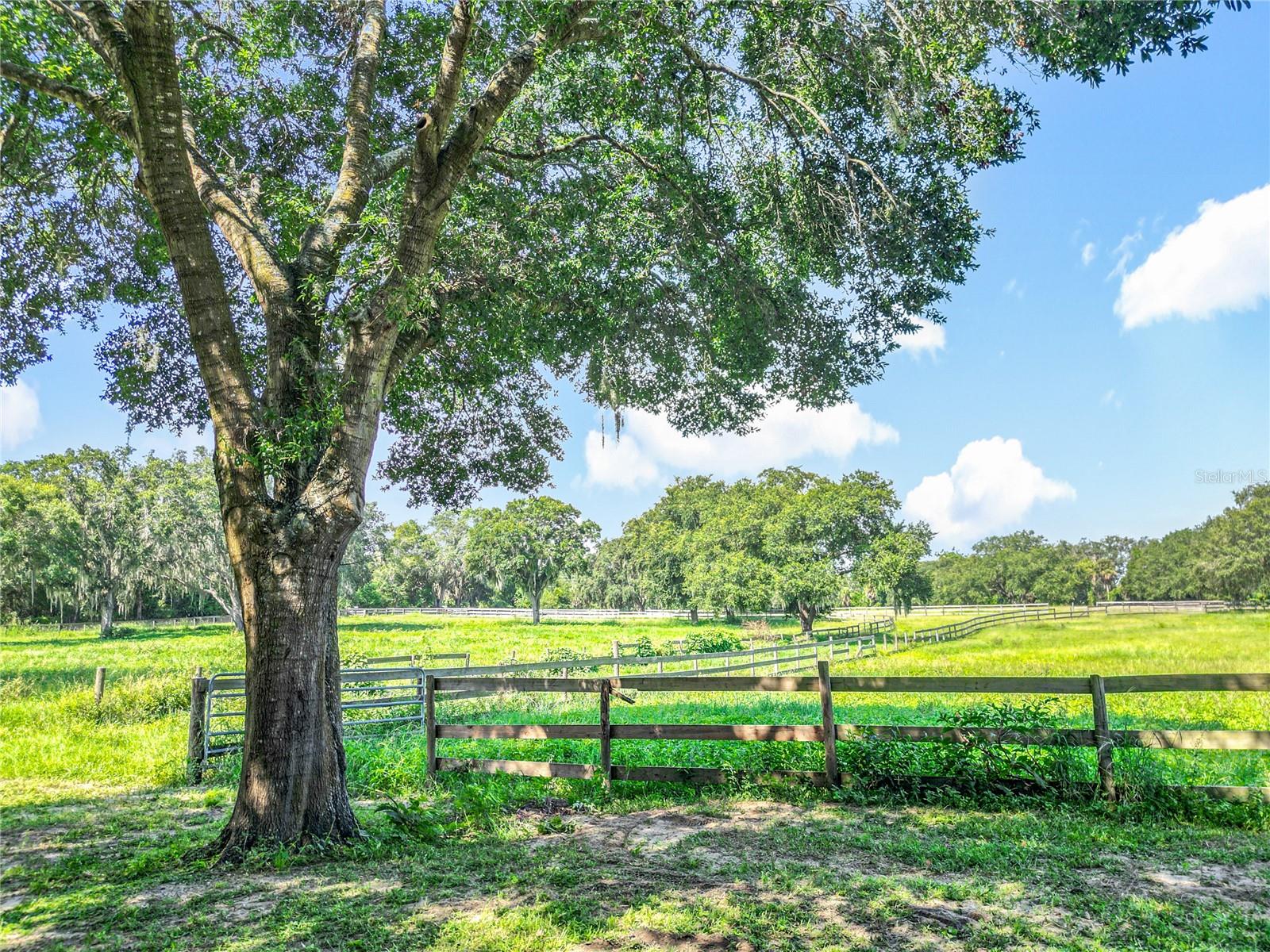 Image 39 of 46 For 13691 Hwy 25