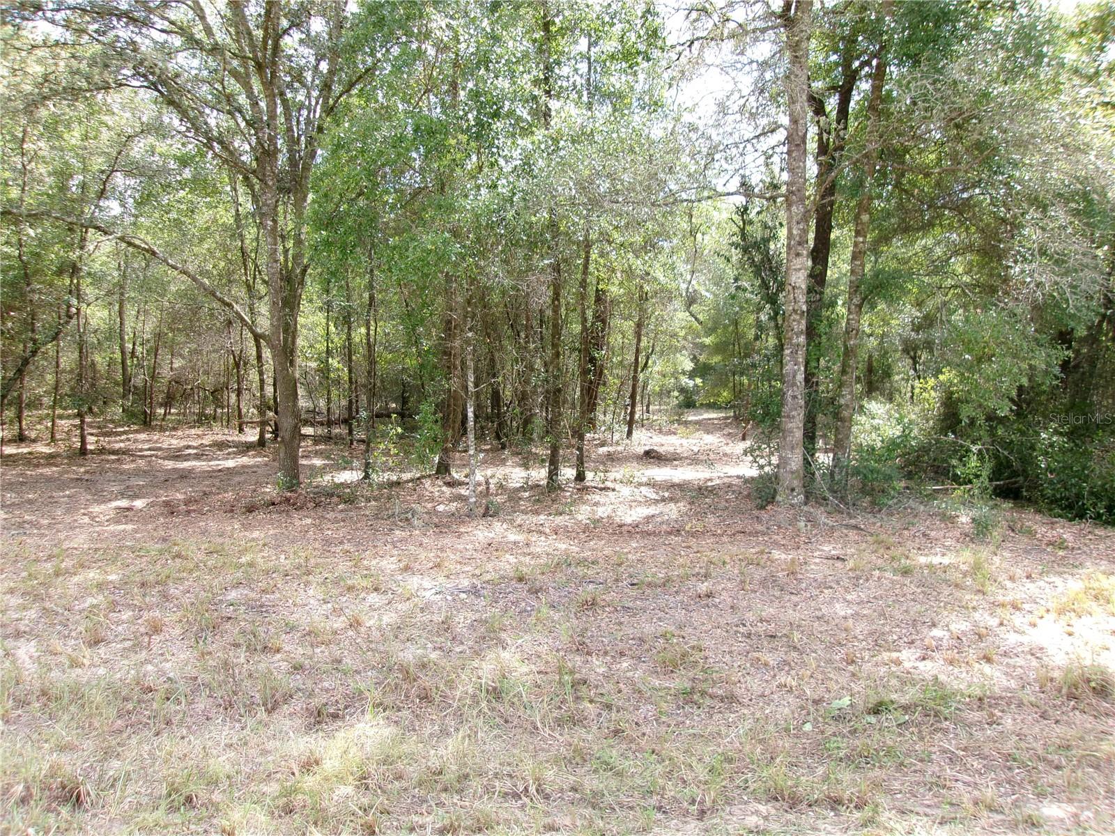 Image 10 of 16 For Lot 12 96th Lane