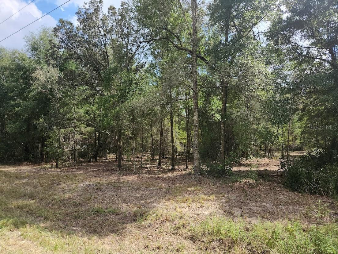 Image 11 of 16 For Lot 12 96th Lane