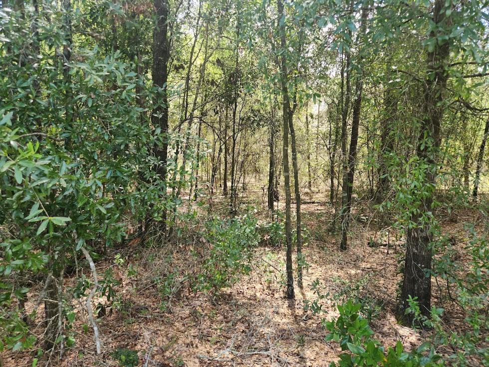Image 3 of 8 For Lot 12 96th Lane