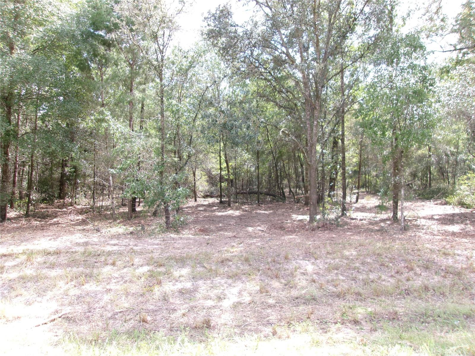 Image 9 of 16 For Lot 12 96th Lane