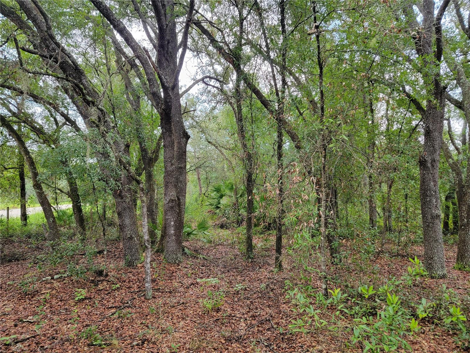 Details for 0 110th Avenue, BRONSON, FL 32621