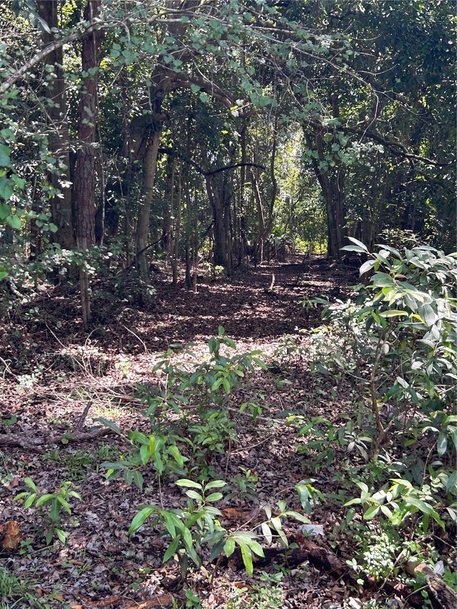 Image 23 of 39 For  Ahinga Road 