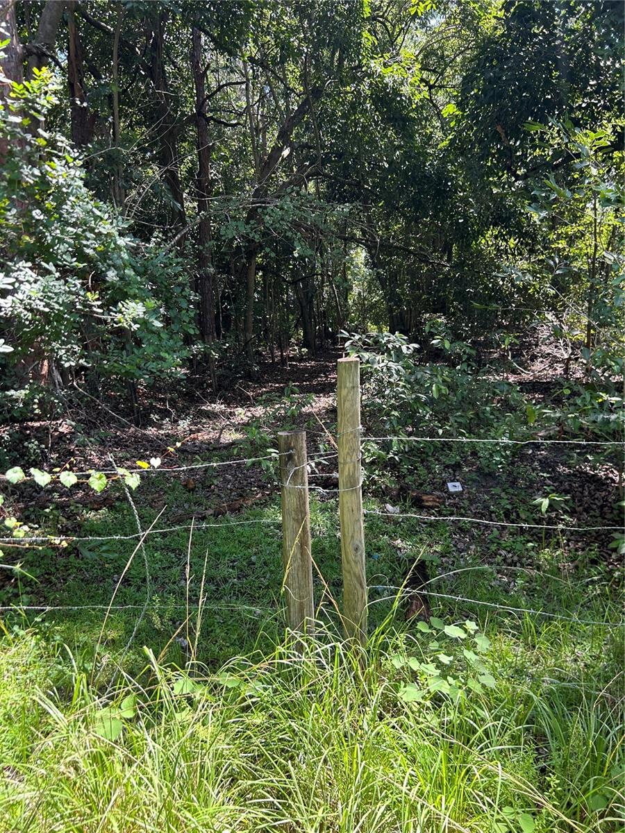 Image 3 of 39 For  Ahinga Road 