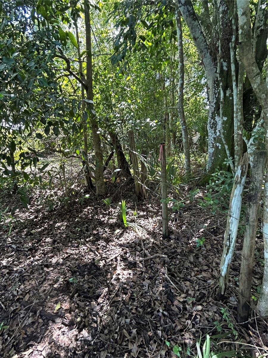 Image 4 of 39 For  Ahinga Road 