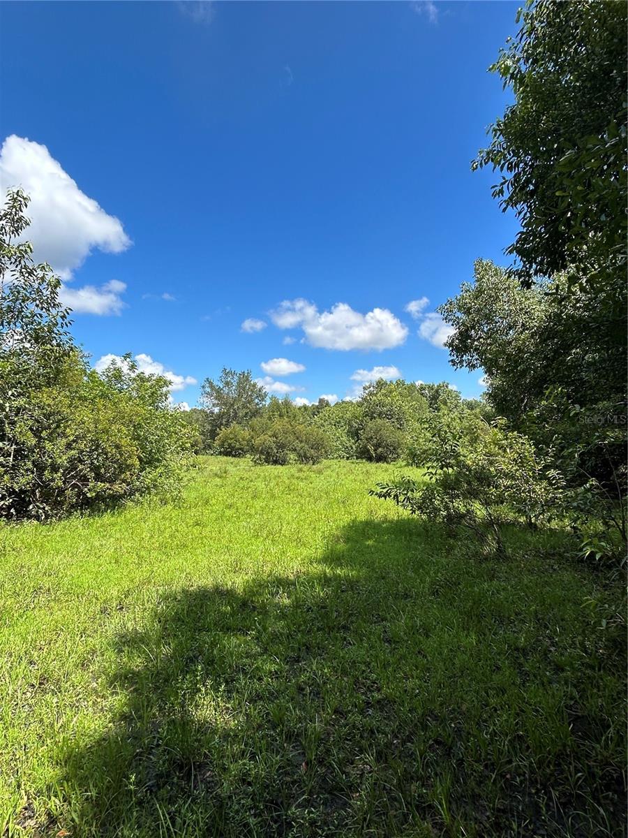 Image 8 of 39 For  Ahinga Road 