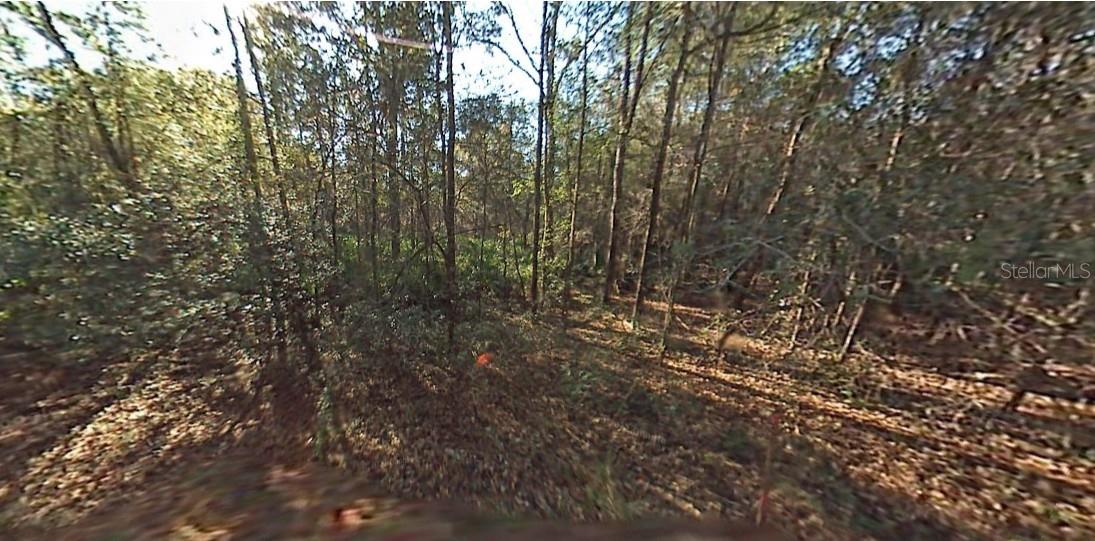 Details for  29th Street , OCALA, FL 34481