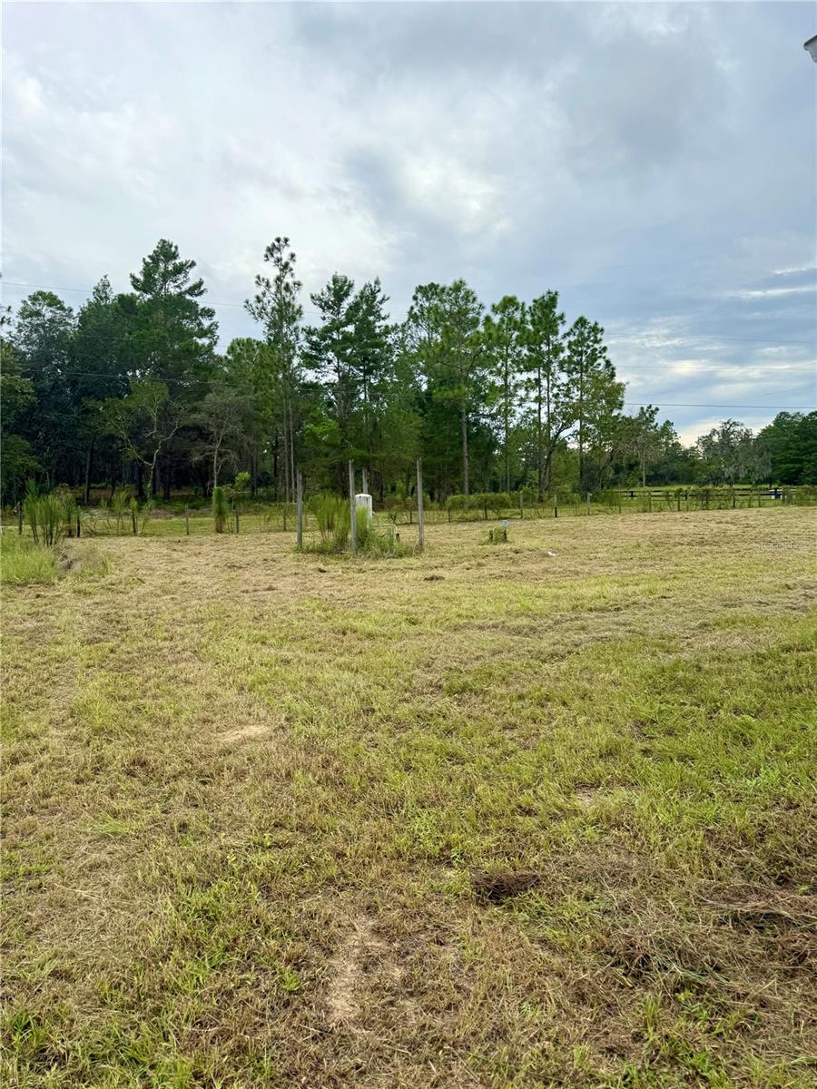 Listing photo id 29 for 10903 Farmwood Avenue