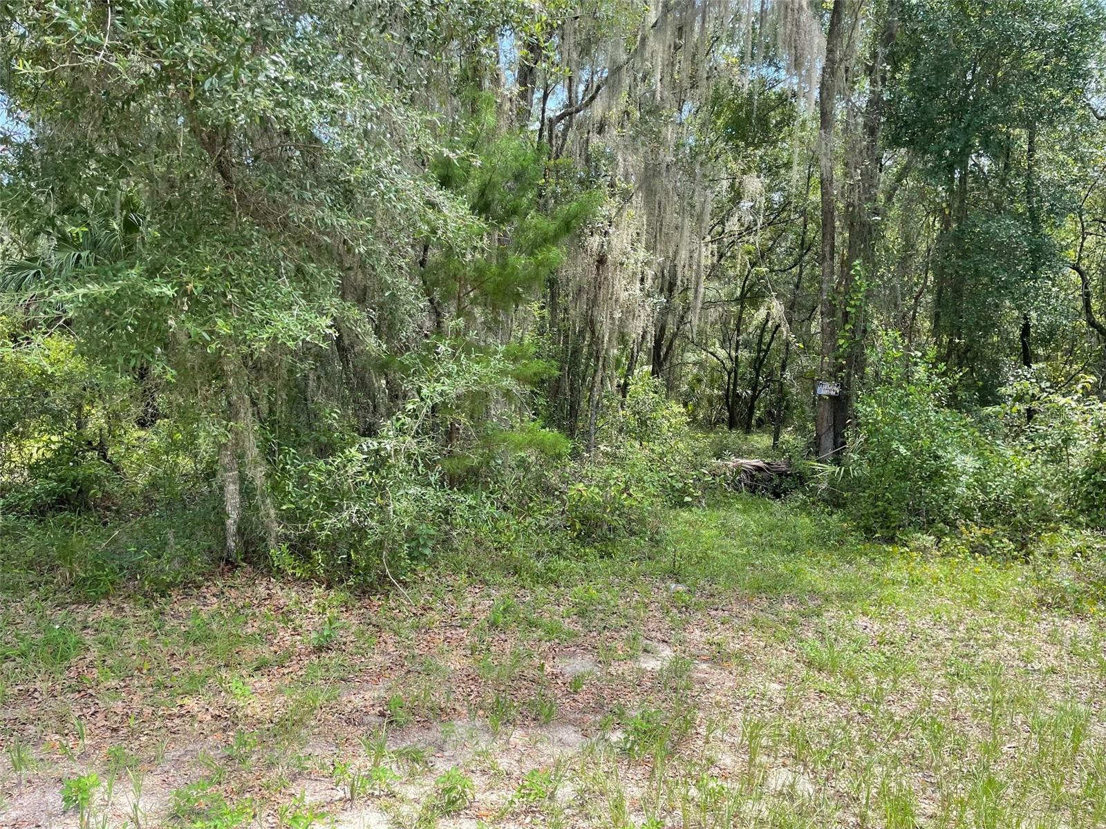 Details for Lots 15  16 Shorewood Drive, DUNNELLON, FL 34431