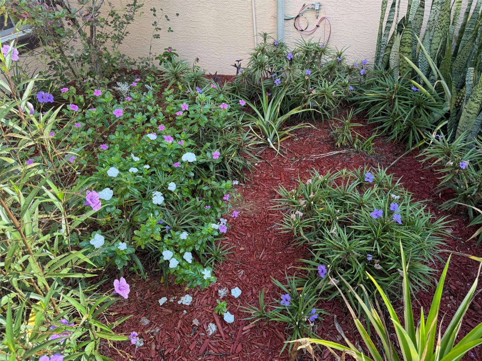 Image 17 of 56 For 9735 Dunnellon Road 31