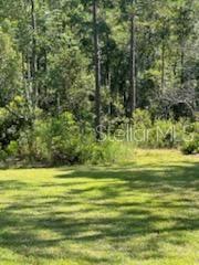 Listing photo id 21 for 8741 Highway 318