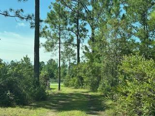 Listing photo id 23 for 8741 Highway 318