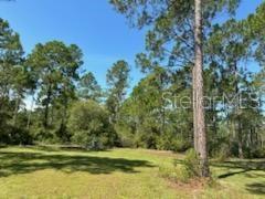 Listing photo id 24 for 8741 Highway 318