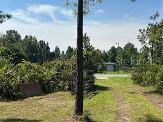 Listing photo id 25 for 8741 Highway 318