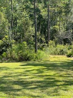 Listing photo id 26 for 8741 Highway 318