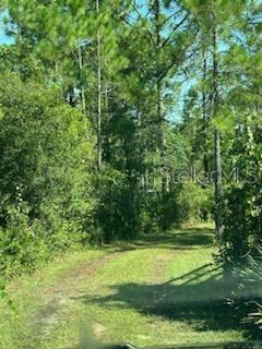 Listing photo id 27 for 8741 Highway 318