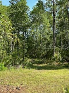 Listing photo id 28 for 8741 Highway 318