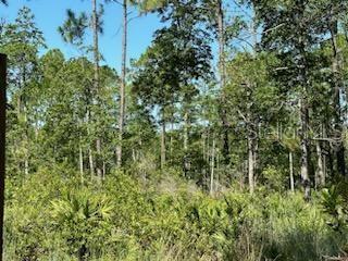 Listing photo id 29 for 8741 Highway 318