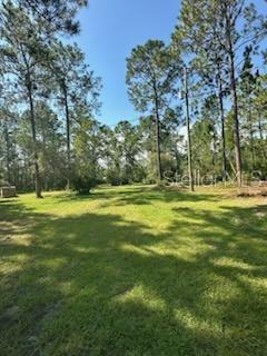 Listing photo id 30 for 8741 Highway 318