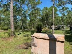 Listing photo id 31 for 8741 Highway 318
