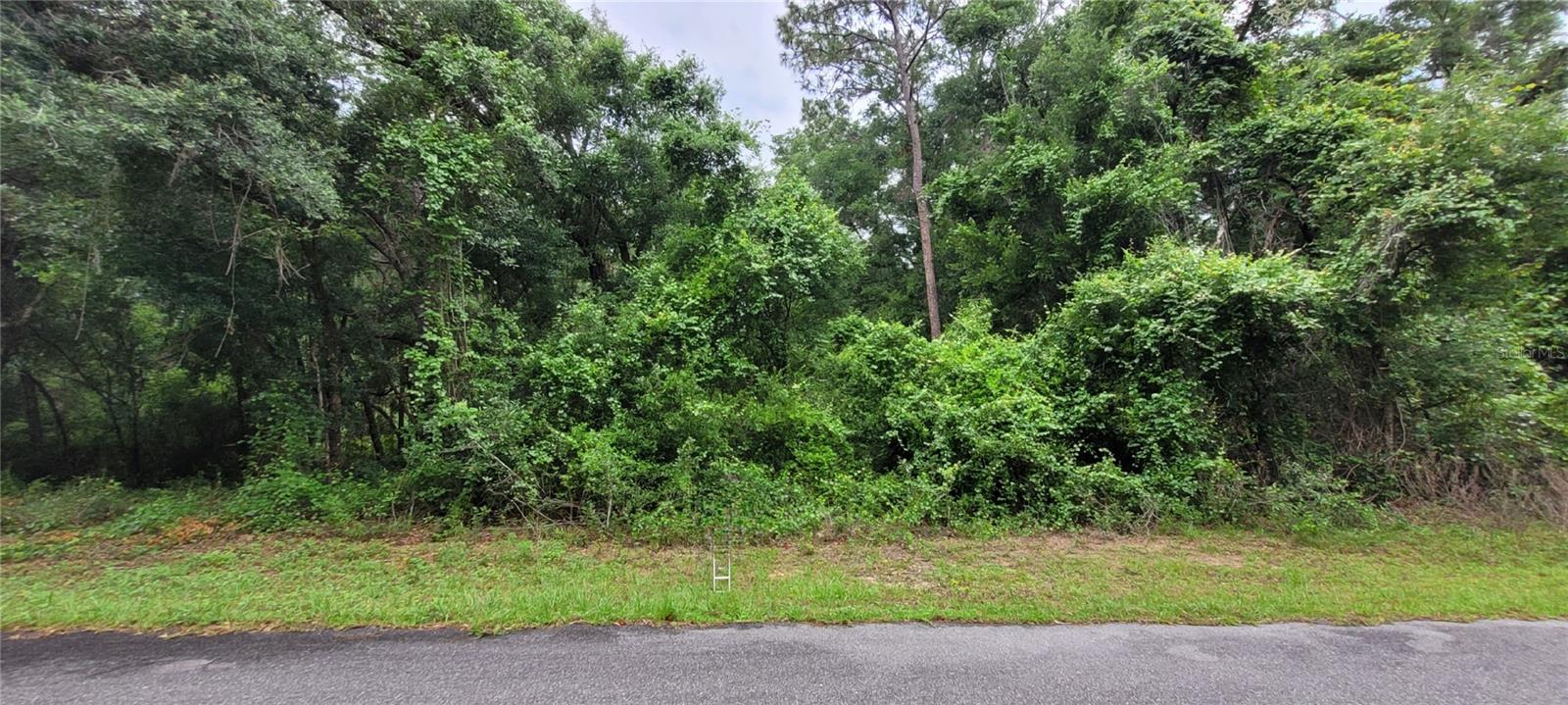 Details for 9120 N Aruba Drive, CITRUS SPRINGS, FL 34434