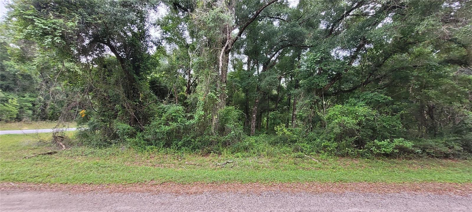 Details for 9116 N Danube Loop, CITRUS SPRINGS, FL 34434