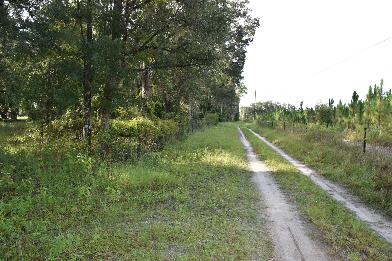Image 11 of 41 For Off 166th Ave