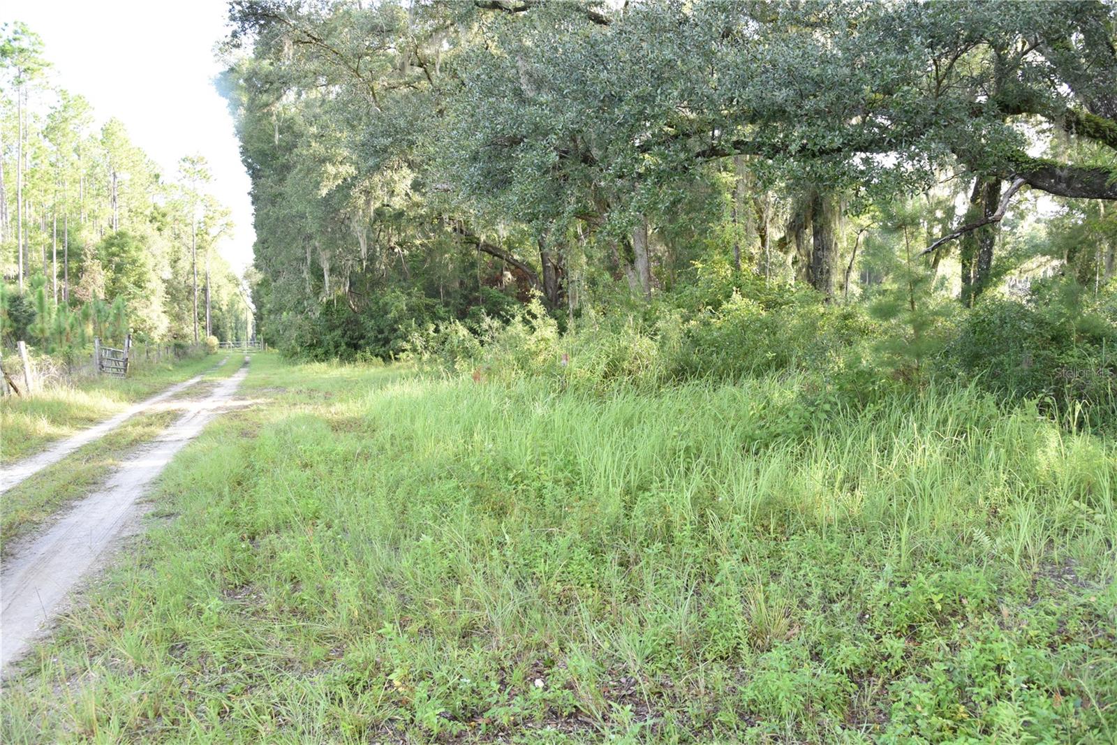 Image 12 of 41 For Off 166th Ave