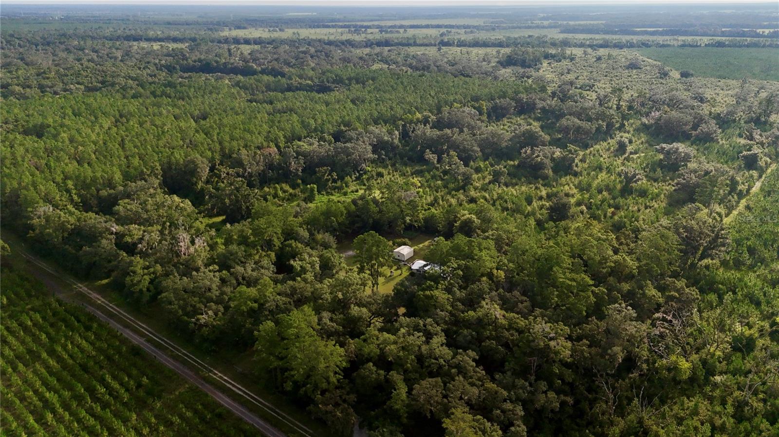 Image 14 of 41 For Off 166th Ave