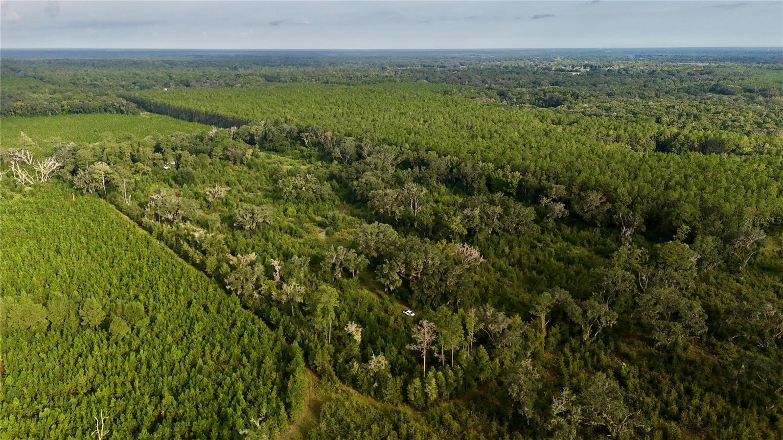 Image 15 of 41 For Off 166th Ave