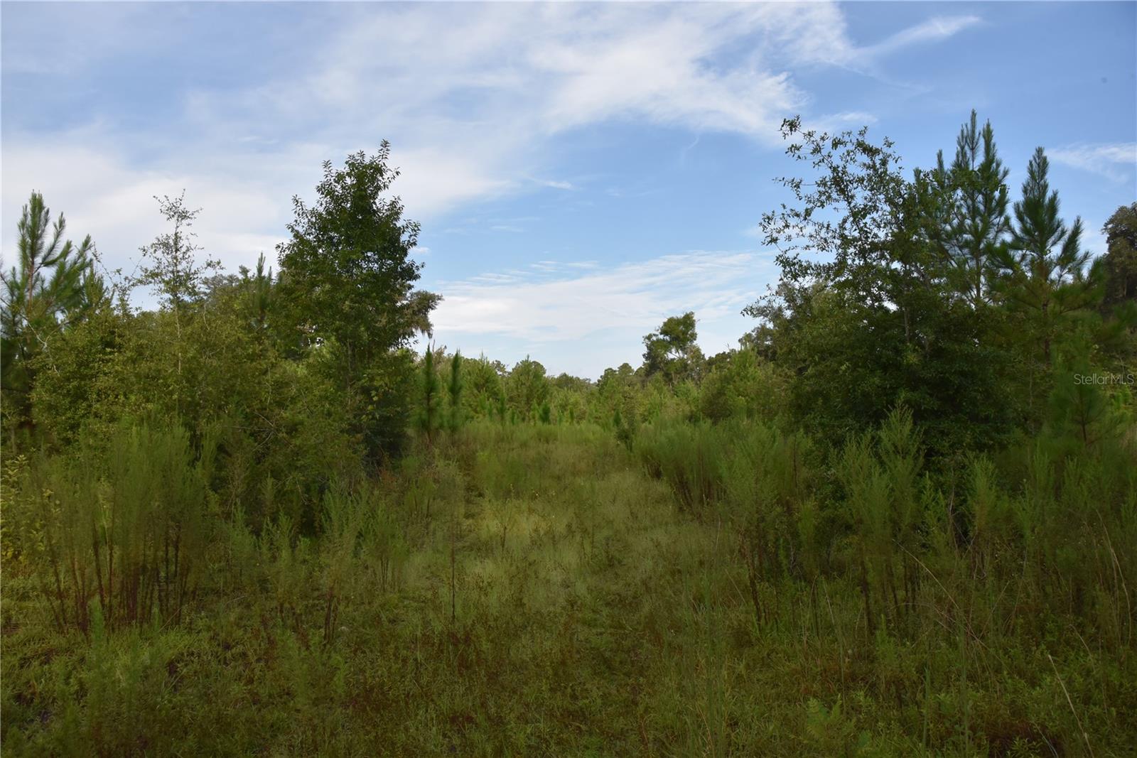 Image 22 of 41 For Off 166th Ave