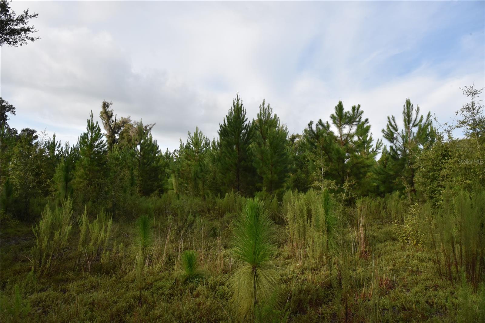 Image 23 of 41 For Off 166th Ave