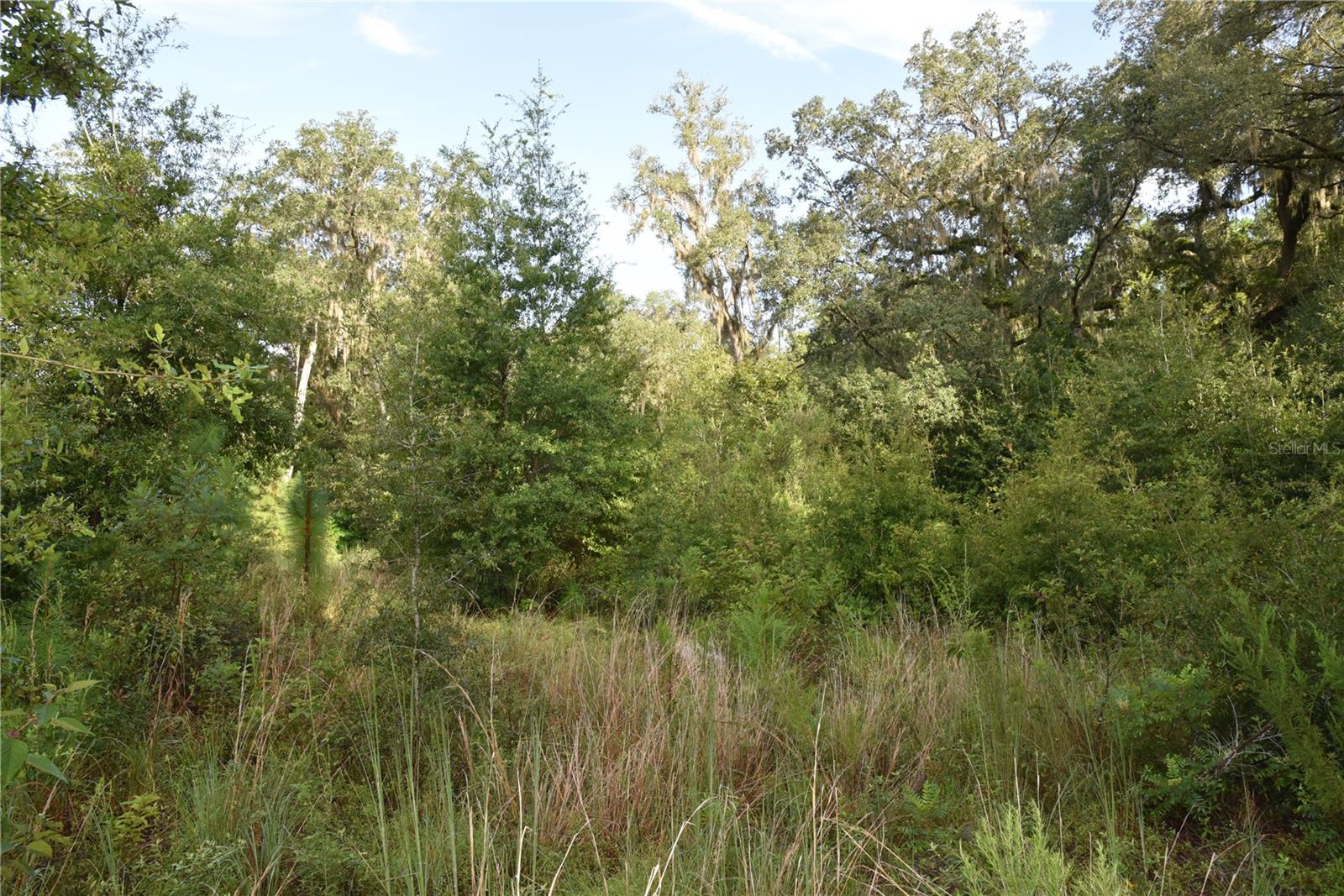 Image 37 of 41 For Off 166th Ave