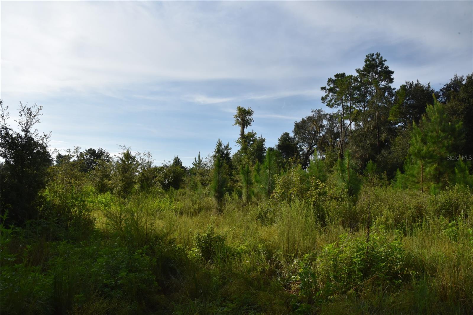 Image 39 of 41 For Off 166th Ave