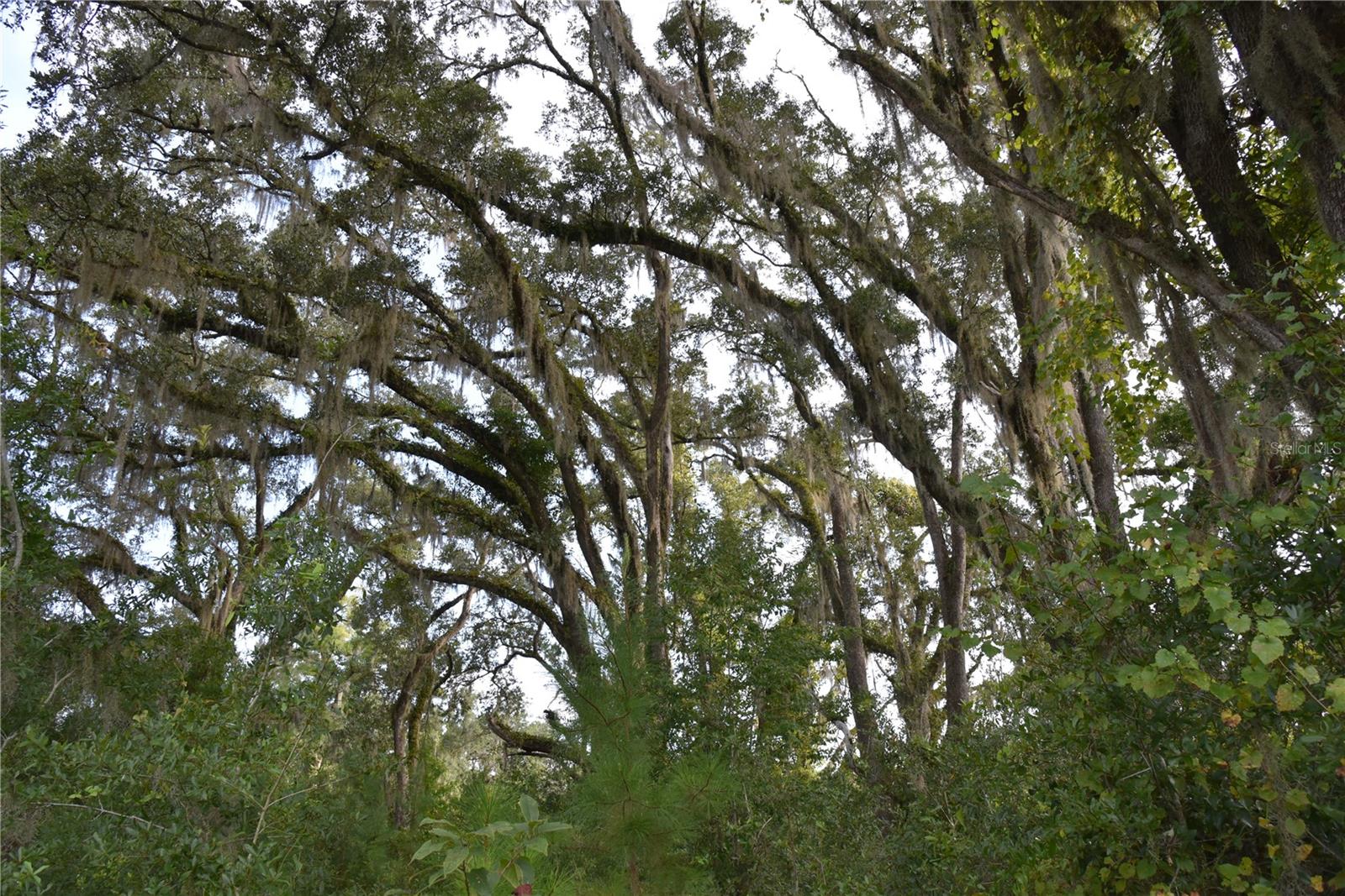Image 9 of 41 For Off 166th Ave