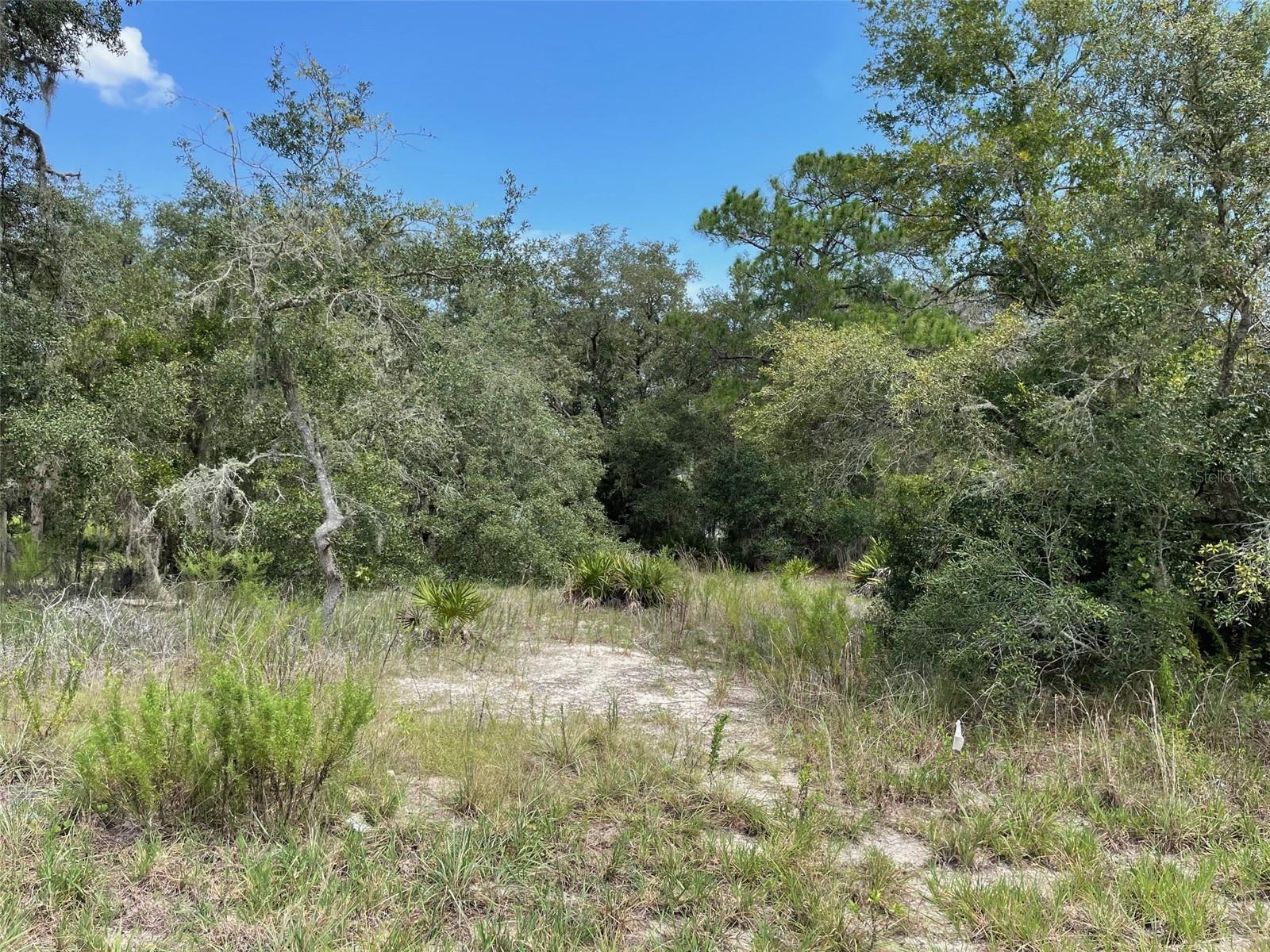 Details for Lots 462 & 463 Shorewood Drive, DUNNELLON, FL 34431
